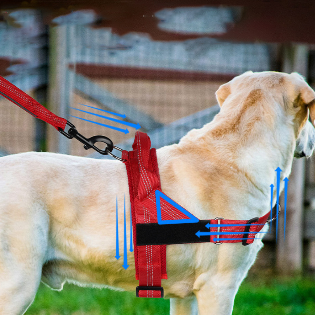 PawFit Harness