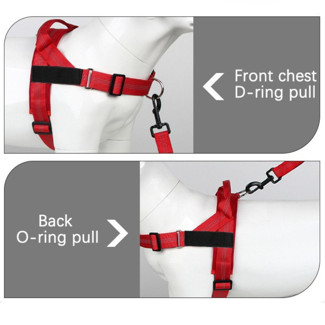 PawFit Harness